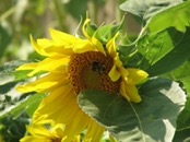   2009.07.18 18.16.22  