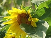   2009.07.18 18.16.26  