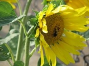   2009.07.18 18.16.42  