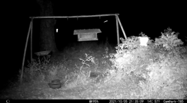  2021.10.05 21.35.08 night flyer.mp4 (3 MB)  