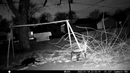 &nbsp;&nbsp;2022.01.18 22.03.32 cat.MOV (215 MB)&nbsp;&nbsp;