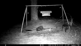 &nbsp;&nbsp;2022.03.28 23.12.24 black cat.MOV (215 MB)&nbsp;&nbsp;