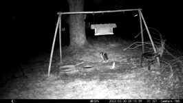 &nbsp;&nbsp;2022.03.30 05.15.50 black and white cat.MOV (214 MB)&nbsp;&nbsp;