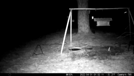 &nbsp;&nbsp;2022.04.01 01.52.02 mcalico cat.MOV (215 MB)&nbsp;&nbsp;