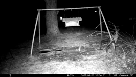 &nbsp;&nbsp;2022.04.03 20.56.22 black and white cat.MOV (214 MB)&nbsp;&nbsp;