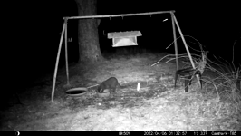 &nbsp;&nbsp;2022.04.06 01.32.46 black cat.MOV (215 MB)&nbsp;&nbsp;