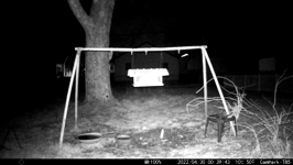 &nbsp;&nbsp;2022.04.30 00.39.34 black cat.MOV (215 MB)&nbsp;&nbsp;