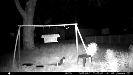 &nbsp;&nbsp;2022.05.22 00.02.32 cat.MOV (215 MB)&nbsp;&nbsp;