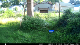 &nbsp;&nbsp;2022.07.19 07.10.40 german shepherd pissing off squirrel.MOV (214 MB)&nbsp;&nbsp;