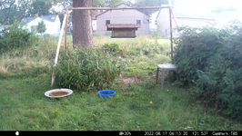 &nbsp;&nbsp;2022.08.17 06.13.10 cat.MOV (214 MB)&nbsp;&nbsp;