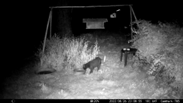 &nbsp;&nbsp;2022.08.26 23.08.46 cat.MOV (214 MB)&nbsp;&nbsp;