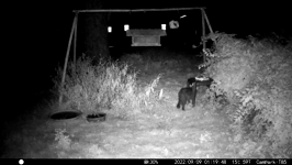 &nbsp;&nbsp;2022.09.09 01.19.38 black cat.MOV (214 MB)&nbsp;&nbsp;