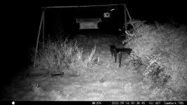 &nbsp;&nbsp;2022.09.16 00.38.36 cat.MOV (214 MB)&nbsp;&nbsp;