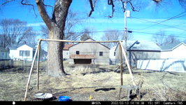 &nbsp;&nbsp;2022.03.13 14.18.28 chipmonk.MOV (214 MB)&nbsp;&nbsp;