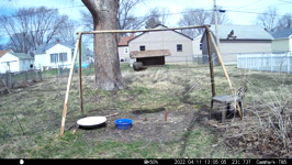 &nbsp;&nbsp;2022.04.11 13.04.56 chipmonk.MOV (214 MB)&nbsp;&nbsp;