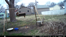 &nbsp;&nbsp;2022.04.12 12.33.56 chipmonk hoover.MOV (214 MB)&nbsp;&nbsp;