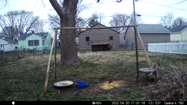 &nbsp;&nbsp;2022.04.20 11.01.08 chipmonk.MOV (214 MB)&nbsp;&nbsp;