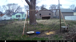 &nbsp;&nbsp;2022.04.20 11.04.54 chipmonk.MOV (214 MB)&nbsp;&nbsp;