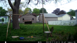 &nbsp;&nbsp;2022.05.17 11.09.06 chipmonk.MOV (214 MB)&nbsp;&nbsp;