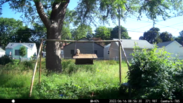 &nbsp;&nbsp;2022.06.16 08.56.20 squeaky chipmonk.MOV (214 MB)&nbsp;&nbsp;