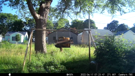 &nbsp;&nbsp;2022.06.17 07.23.36 calling chipmonk.MOV (214 MB)&nbsp;&nbsp;