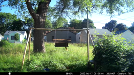 &nbsp;&nbsp;2022.06.17 08.00.52 loud chipmonk.MOV (214 MB)&nbsp;&nbsp;