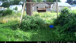 &nbsp;&nbsp;2022.07.22 08.13.20 chipmonk.MOV (214 MB)&nbsp;&nbsp;