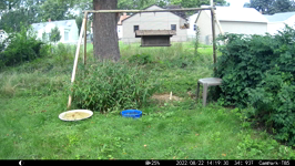 &nbsp;&nbsp;2022.08.22 14.19.20 chipmonk tag.MOV (214 MB)&nbsp;&nbsp;