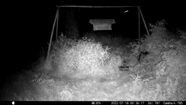 &nbsp;&nbsp;2022.07.18 00.36.08.MOV (214 MB)&nbsp;&nbsp;