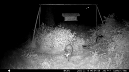 &nbsp;&nbsp;2022.07.18 00.54.48.MOV (214 MB)&nbsp;&nbsp;