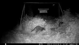 &nbsp;&nbsp;2022.07.18 03.46.24.MOV (214 MB)&nbsp;&nbsp;