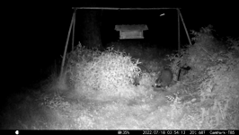 &nbsp;&nbsp;2022.07.18 03.54.04.MOV (214 MB)&nbsp;&nbsp;