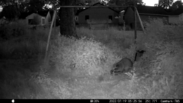 &nbsp;&nbsp;2022.07.19 05.25.46.MOV (214 MB)&nbsp;&nbsp;