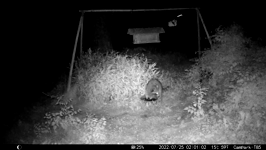 &nbsp;&nbsp;2022.07.25 02.00.52.MOV (214 MB)&nbsp;&nbsp;