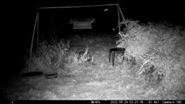 &nbsp;&nbsp;2022.09.24 03.21.36.MOV (214 MB)&nbsp;&nbsp;