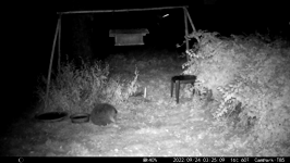 &nbsp;&nbsp;2022.09.24 03.25.00.MOV (214 MB)&nbsp;&nbsp;