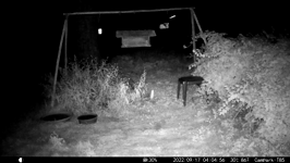 &nbsp;&nbsp;2022.09.17 04.04.46 hopping coon.MOV (214 MB)&nbsp;&nbsp;