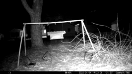 &nbsp;&nbsp;2022.01.04 19.32.58 thirsty winter coon.MOV (215 MB)&nbsp;&nbsp;