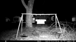 &nbsp;&nbsp;2022.01.10 21.34.26 coon backflip and up the tree.MOV (215 MB)&nbsp;&nbsp;