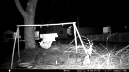 &nbsp;&nbsp;2022.02.11 04.43.54 coon climber.MOV (215 MB)&nbsp;&nbsp;