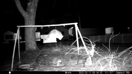 &nbsp;&nbsp;2022.02.11 05.34.32 febuary coons.MOV (215 MB)&nbsp;&nbsp;