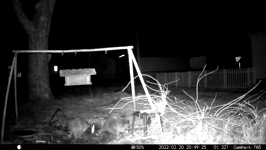 &nbsp;&nbsp;2022.02.20 20.49.16 coon tasty donuts.MOV (215 MB)&nbsp;&nbsp;