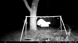 &nbsp;&nbsp;2022.02.28 21.34.58 coon up the pole.MOV (215 MB)&nbsp;&nbsp;