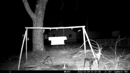 &nbsp;&nbsp;2022.03.04 01.06.50 social coons.MOV (215 MB)&nbsp;&nbsp;