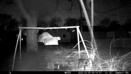 &nbsp;&nbsp;2022.03.05 04.14.38 coons in the sleet.MOV (215 MB)&nbsp;&nbsp;