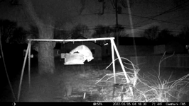 &nbsp;&nbsp;2022.03.05 04.18.20 coons in the sleet.MOV (215 MB)&nbsp;&nbsp;