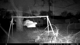 &nbsp;&nbsp;2022.03.05 04.21.40 coons in the sleet.MOV (215 MB)&nbsp;&nbsp;