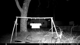 &nbsp;&nbsp;2022.03.09 19.51.56 coon snacks.MOV (215 MB)&nbsp;&nbsp;