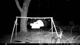 &nbsp;&nbsp;2022.03.09 23.07.08 coon tossing sunflower like confetti.MOV (215 MB)&nbsp;&nbsp;