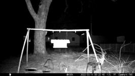 &nbsp;&nbsp;2022.03.10 23.22.30 acrobatic coon.MOV (215 MB)&nbsp;&nbsp;